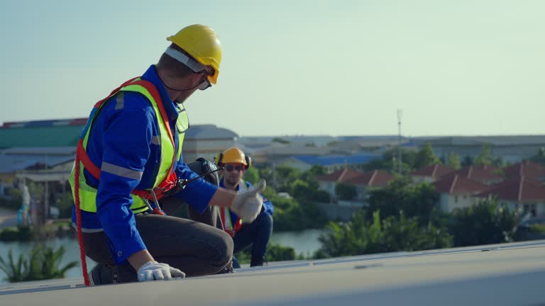 Best Sheet Metal Roofing  in Rinna, VA